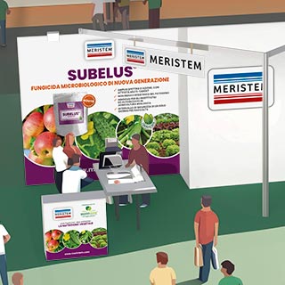 Diseño de stand Meristem