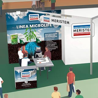 Diseño de stand Meristem