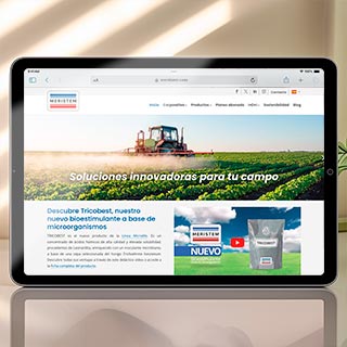 Diseño web Meristem